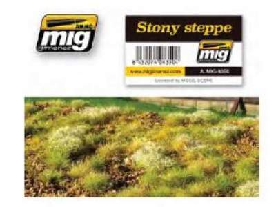 Stony Steppe - image 1