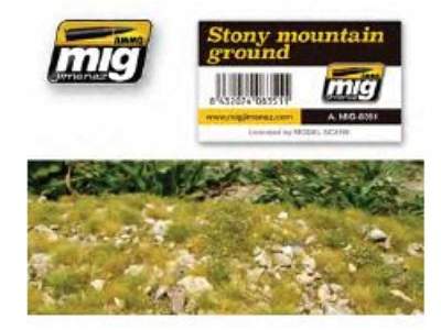 Stony Mountain Ground - image 1