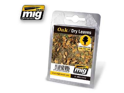 Oak - Dry Leaves - image 1