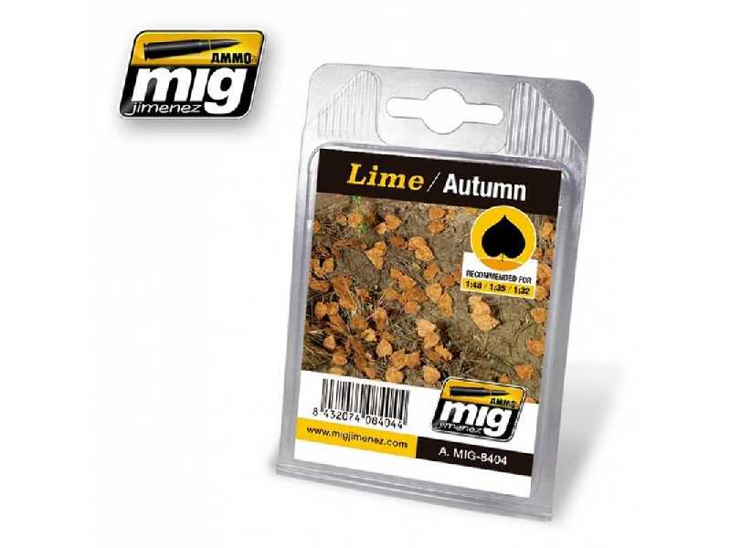Lime - image 1 Lime - image 1