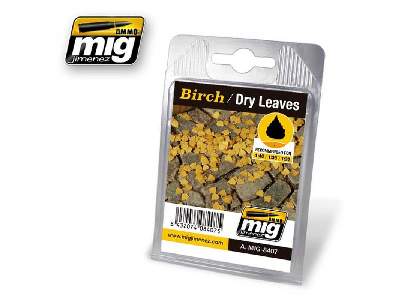 Birch - Dry Leaves - image 1