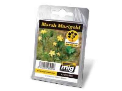 Marsh Marigold - image 1