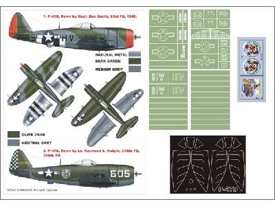 P-47D Thunderbolt  HASEGAWA - image 1