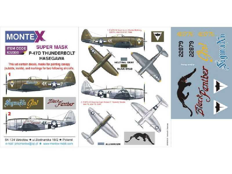 P-47D HASEGAWA - image 1