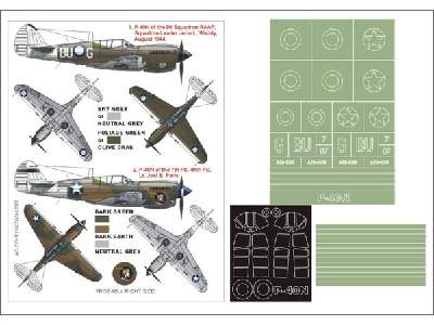 P-40N HASEGAWA - image 1