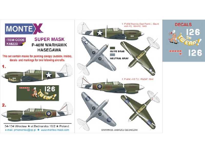 P-40M HASEGAWA - image 1