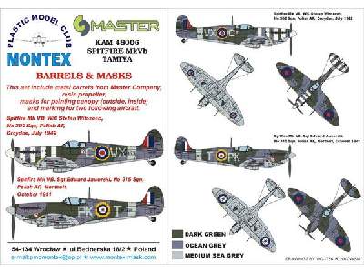 Spitfire MkVB (Polish Spitfire) Tamiya - image 1