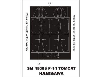 F-14 Tomcat Hasegawa - image 1