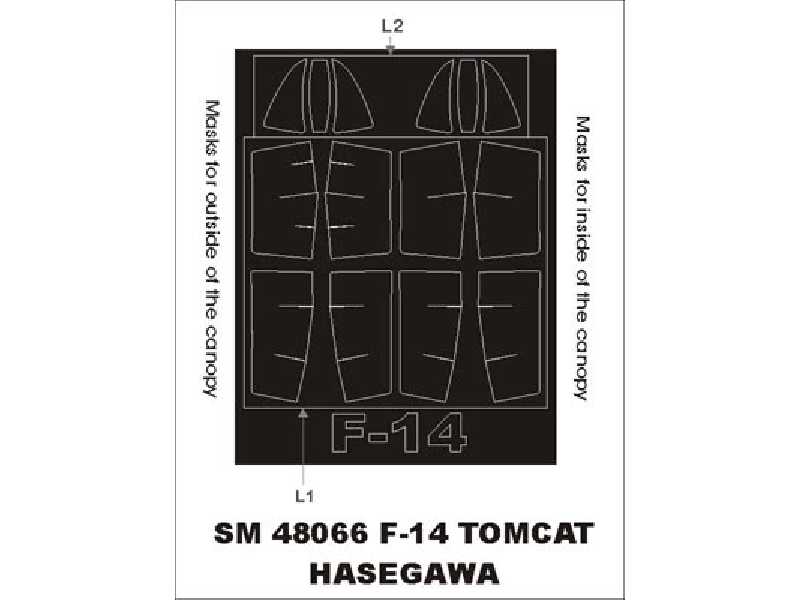 F-14 Tomcat Hasegawa - image 1