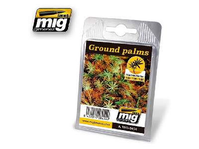 Ground Palms - image 1