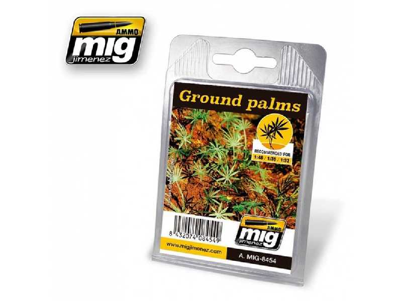 Ground Palms - image 1