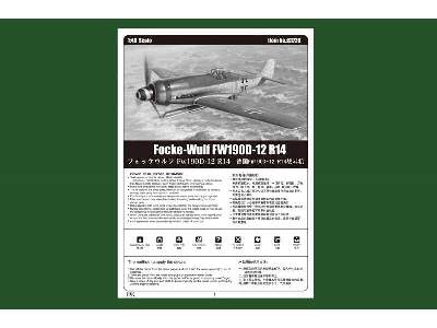 Focke-Wulf FW190D-12 R14 - image 5