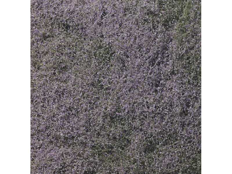 Flowering Foliage Purple - image 1