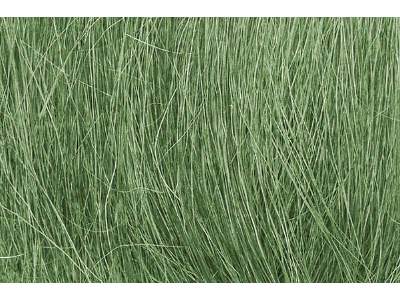 Field Grass Medium Green - image 1