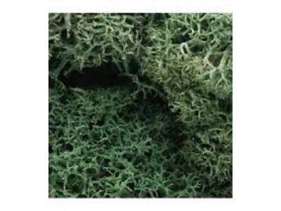 ZAROŚLA - Light Green Lichen - image 1