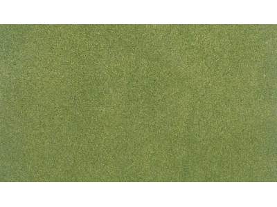 Mata &quot;Spring Grass&quot; (83.8 cm x 127 cm) - image 1
