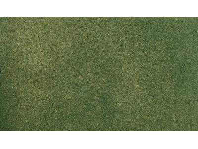 Mata &quot;Green Grass&quot; (83.8 cm x 127 cm) - image 1
