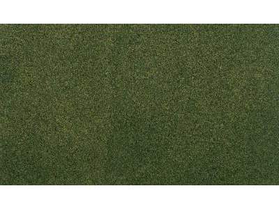 Mata &quot;Forest Grass&quot; (83.8 cm x 127 cm) - image 1