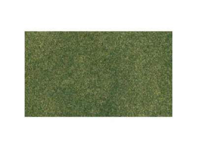 MATA TRAWIASTA: GREEN GRASS RG - image 1