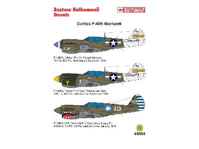 Decal - Curtiss P-40N-5 Warhawk - image 2