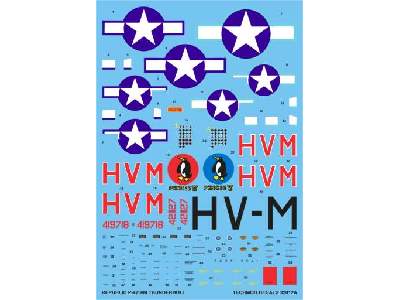 Decal - Republic P-47D/M Thunderbolt - image 1