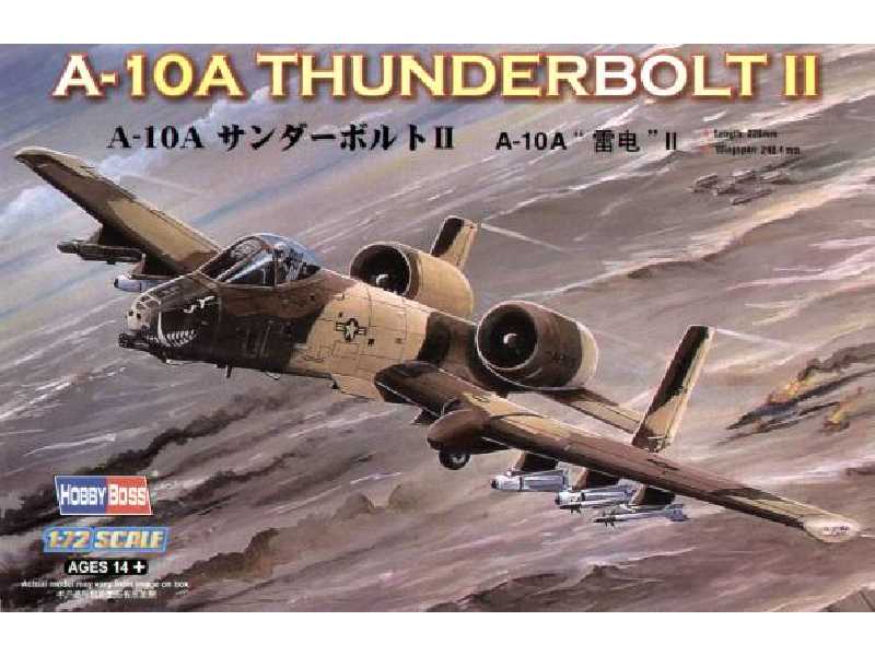 A-10A Thunderbolt II - image 1