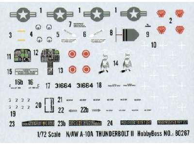 N/AW A-10A Thunderbolt II - image 2