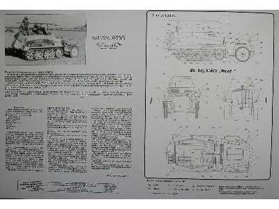 SdKfz 250 GREIF - image 5