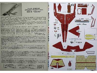 SZD-18 Czajka - image 2