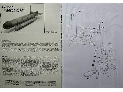 Molch - image 5