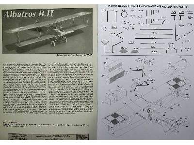 ALBATROS B II - image 7