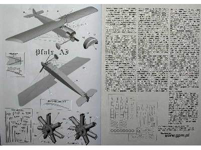 PFALZ A1/A2 - image 10