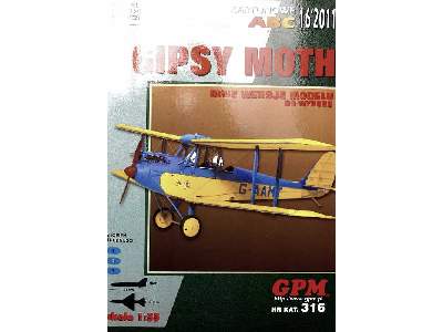 GIPSY MOTH - image 4