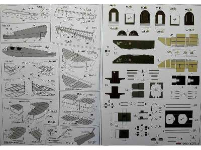 GIPSY MOTH - image 14