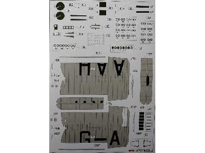 GIPSY MOTH - image 15