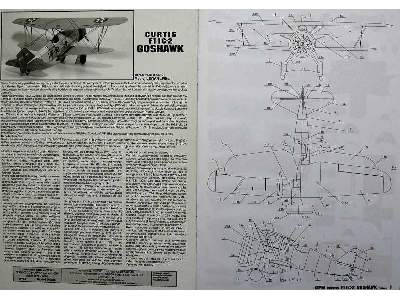 CURTISS F11 C-2 GOSHAWK - image 11