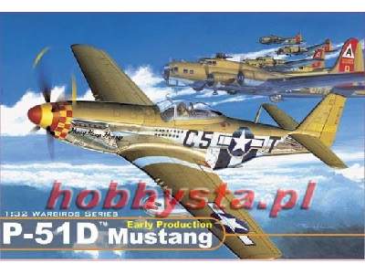 P-51D Mustang Early Production - image 1