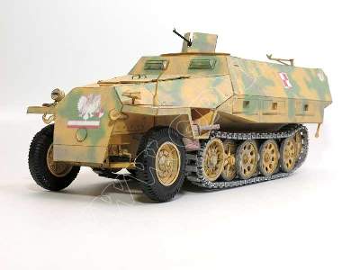 SZARY WILK  / STARÓWKA  (Sd.Kfz 251 D ) - komplet , model wręgi  - image 15