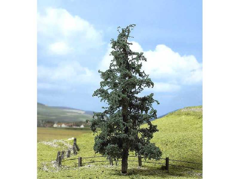 2 PREMIUM firs - image 1