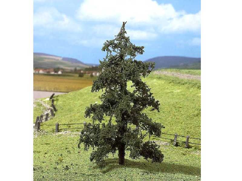 2 PREMIUM spruces - image 1