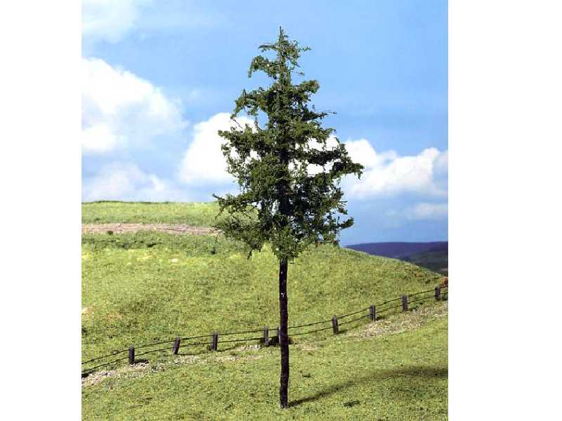 1 PREMIUM spruce - image 1