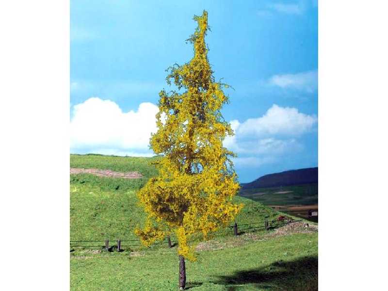 1 PREMIUM larch - image 1