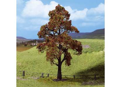 1 PREMIUM rowan tree with fruits - image 1