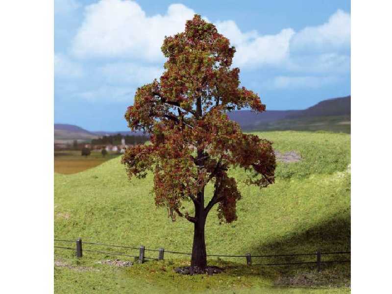 1 PREMIUM rowan tree with fruits - image 1