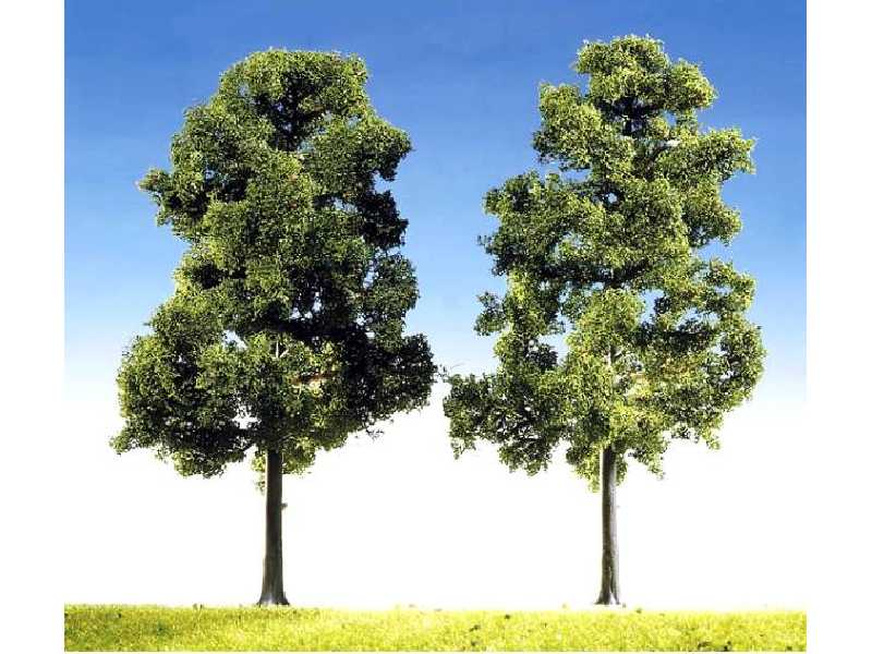 2 beeches - image 1 2 beeches - image 1