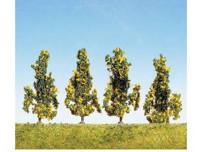 4 shrubs w/yellow flowers - image 1