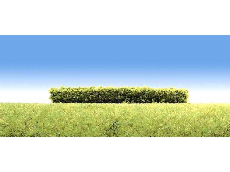 3 hedges, light green - image 1
