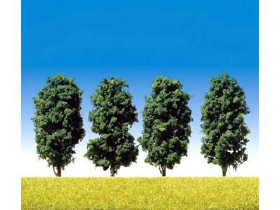 4 deciduous trees - image 1