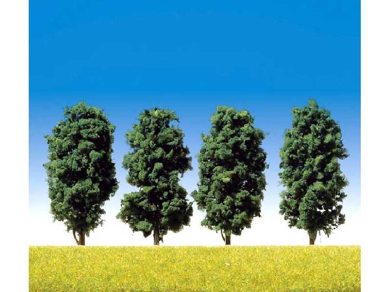 4 deciduous trees - image 1
