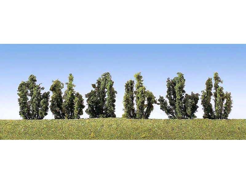 6 shrubs - image 1